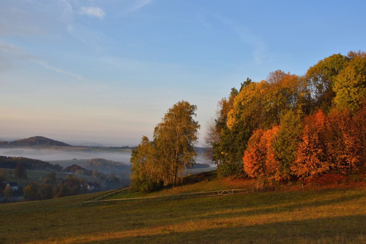 Ausblick ins Elbsandsteingebirge bei Neustadt in Sachsen