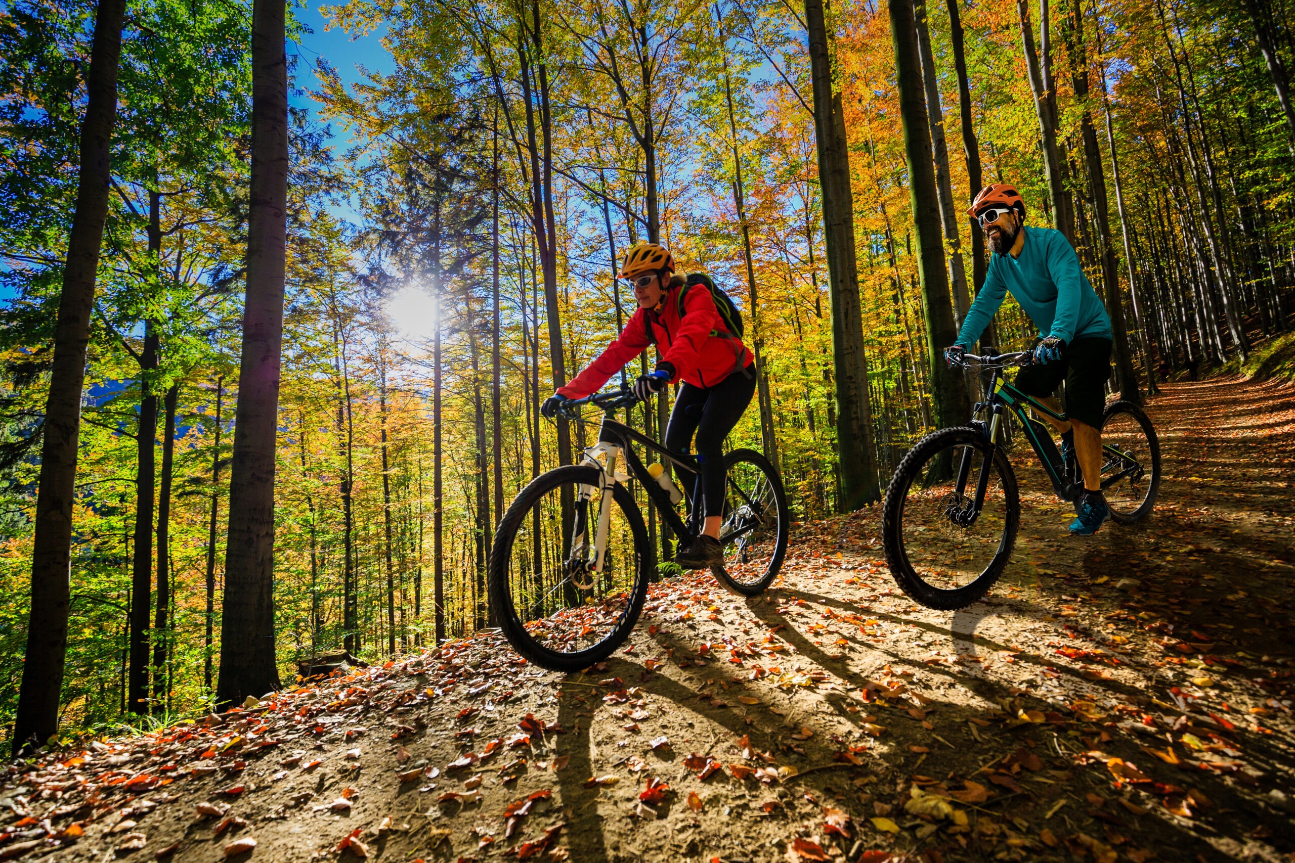 radtour-im-herbst-elbsandtseingebirge